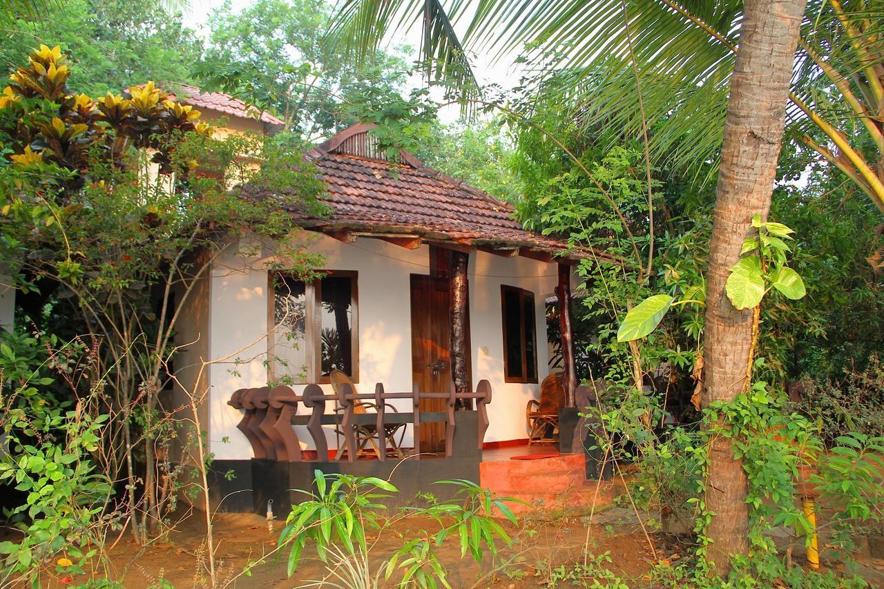 Big Banana Island Retreat Hotell North Paravur Exteriör bild