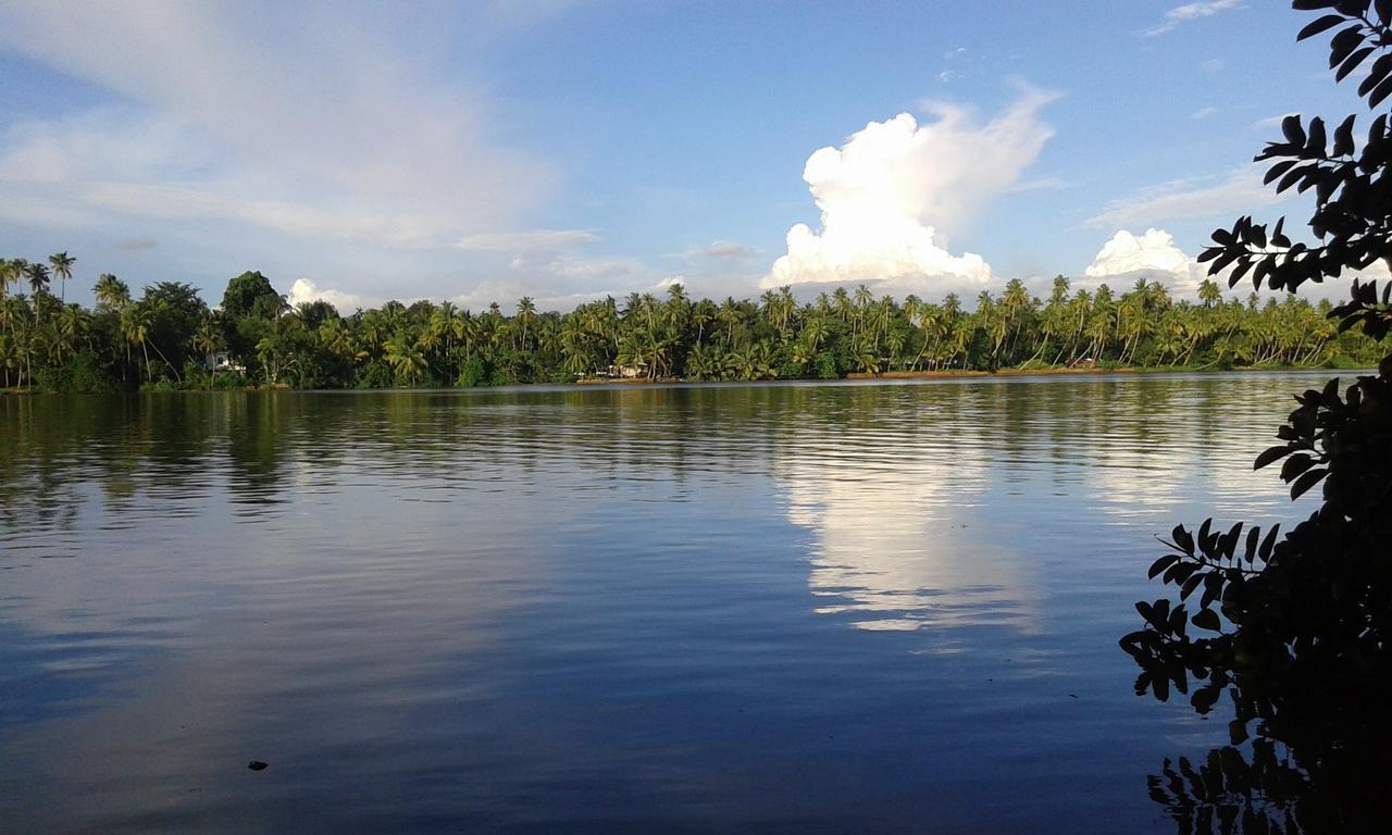 Big Banana Island Retreat Hotell North Paravur Exteriör bild