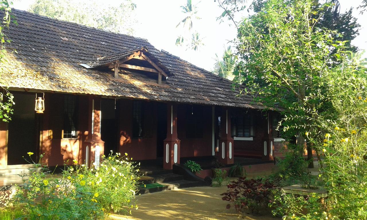 Big Banana Island Retreat Hotell North Paravur Exteriör bild